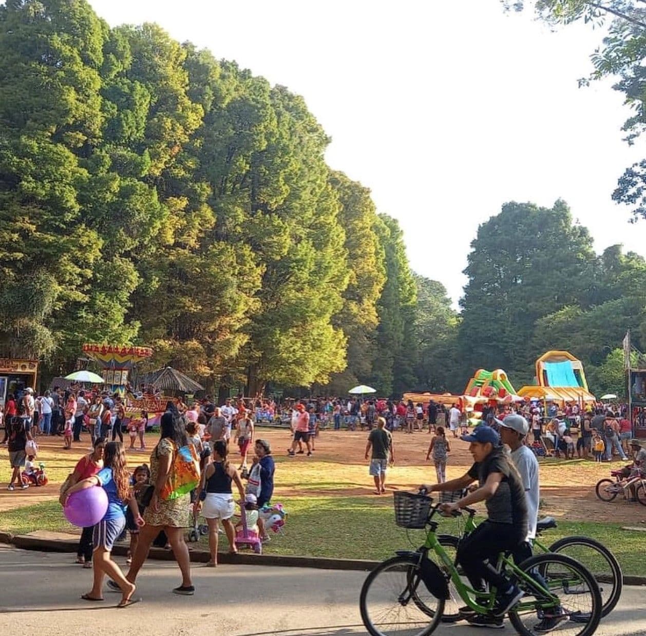 Novembro Azul: Urbia realiza programação gratuita com iluminação especial no Planetário Ibirapuera e atividades terapêuticas no Parque Horto Florestal